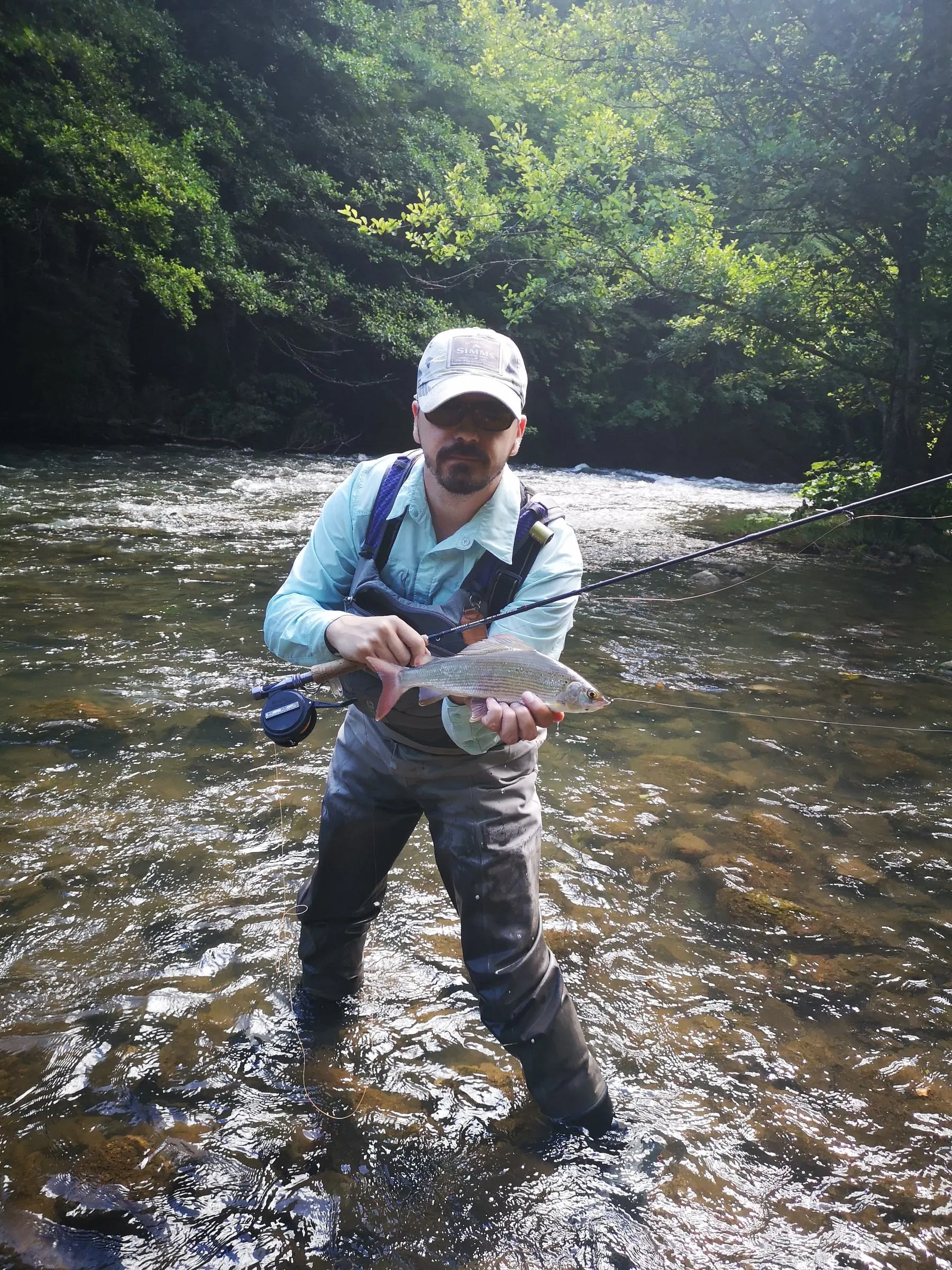 An angler standing midstream holding a grayling and a fly rod, a riffle and steep wooded banks behind.