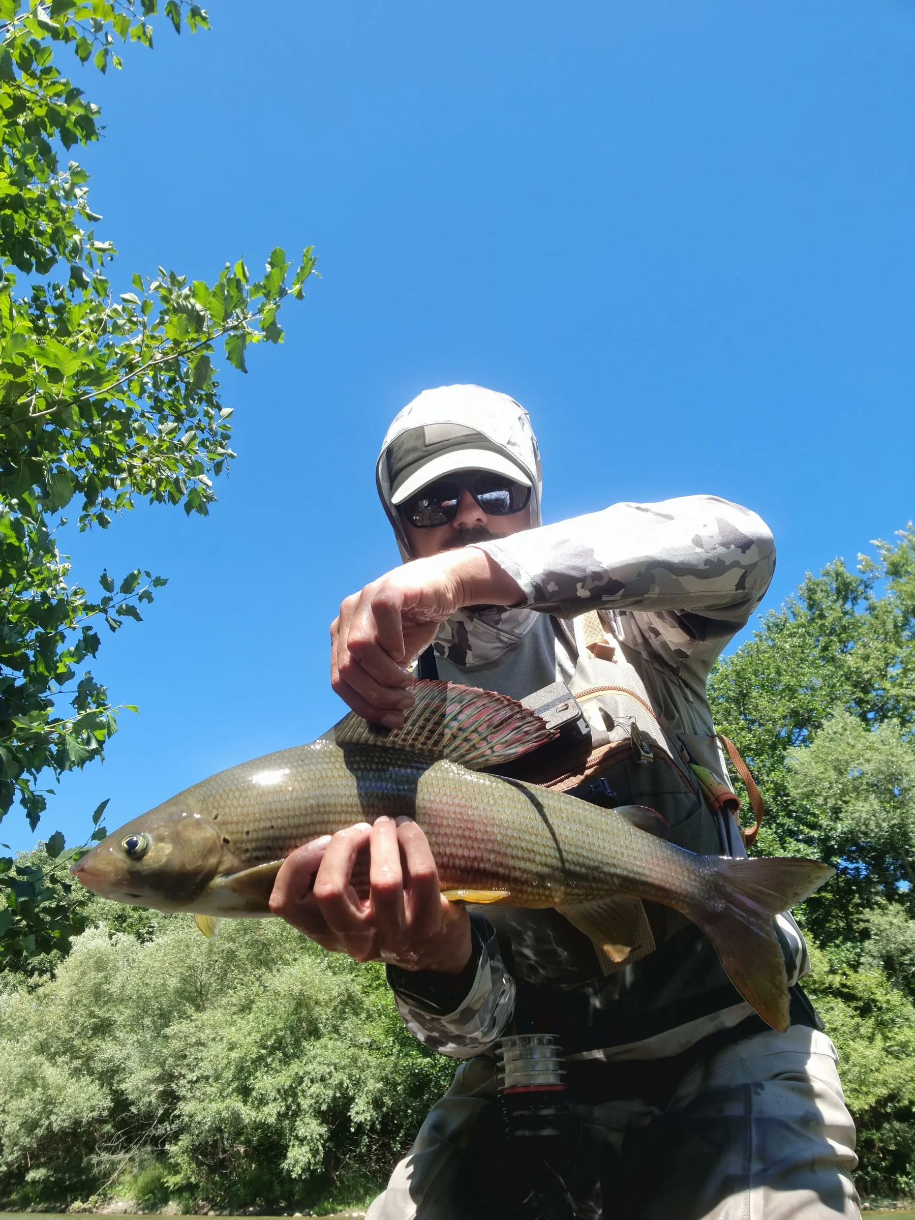 An angler in a sun hood holding a grayling against a blue sky, trees on the bank.