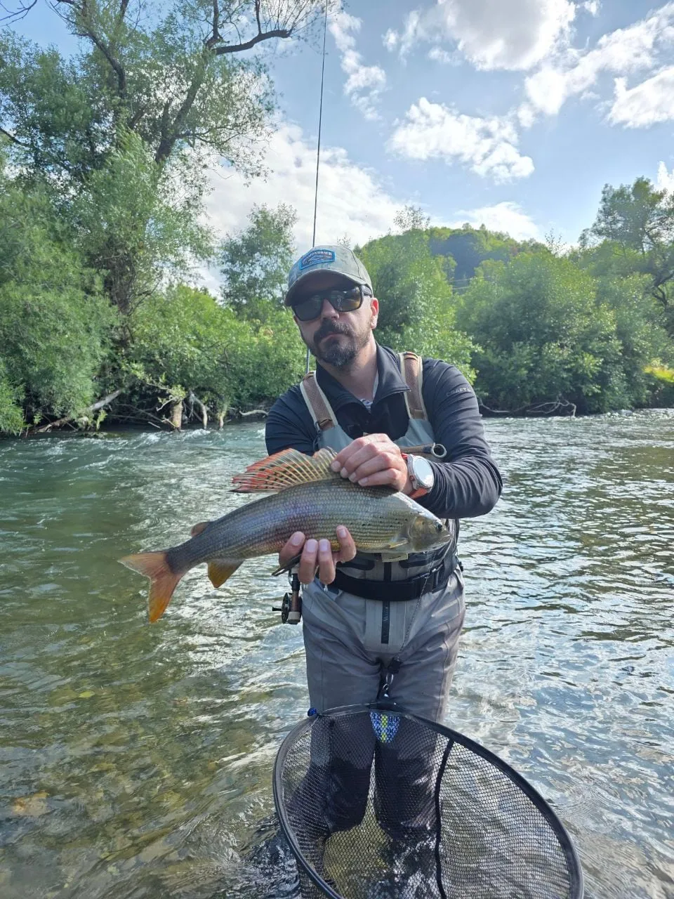 An angler standing in the Lim holding a grayling with its red-edged dorsal fin raised, willows and summer cloud behind.