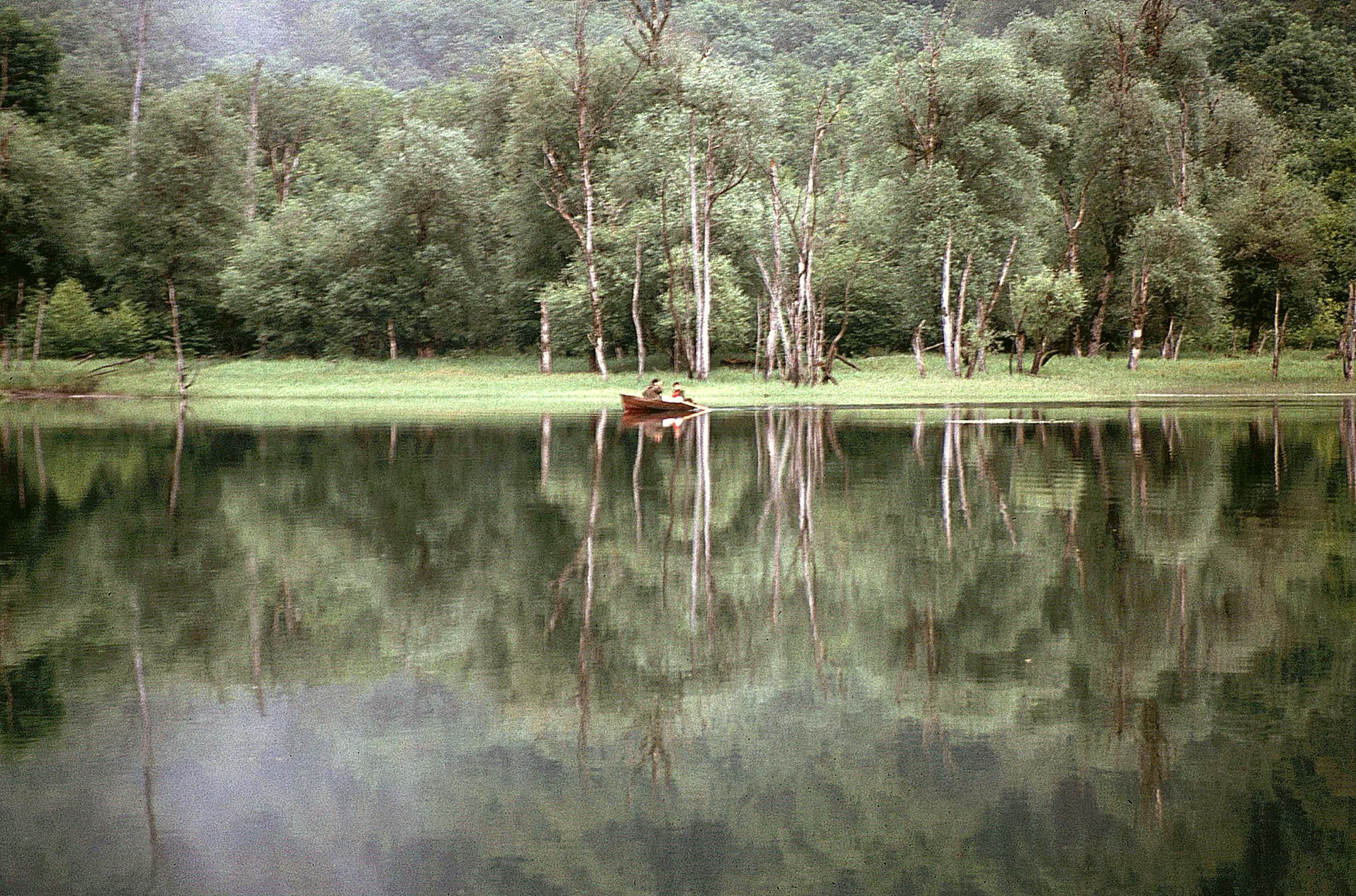 Trees on the shore of Biogradsko Lake mirrored in still, dark water.