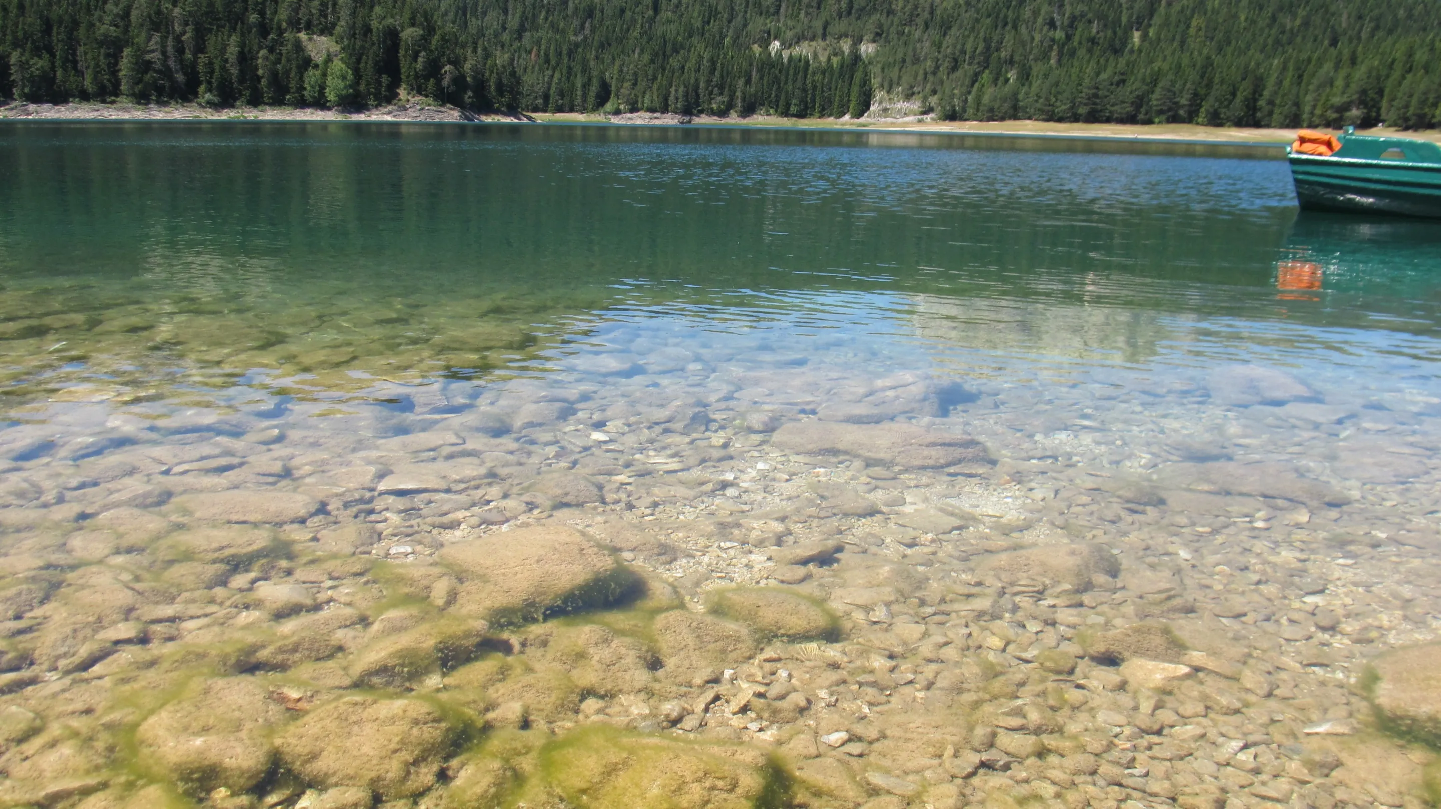 Pale stones seen through clear, shallow water at the edge of Black Lake, with forest on the far shore.