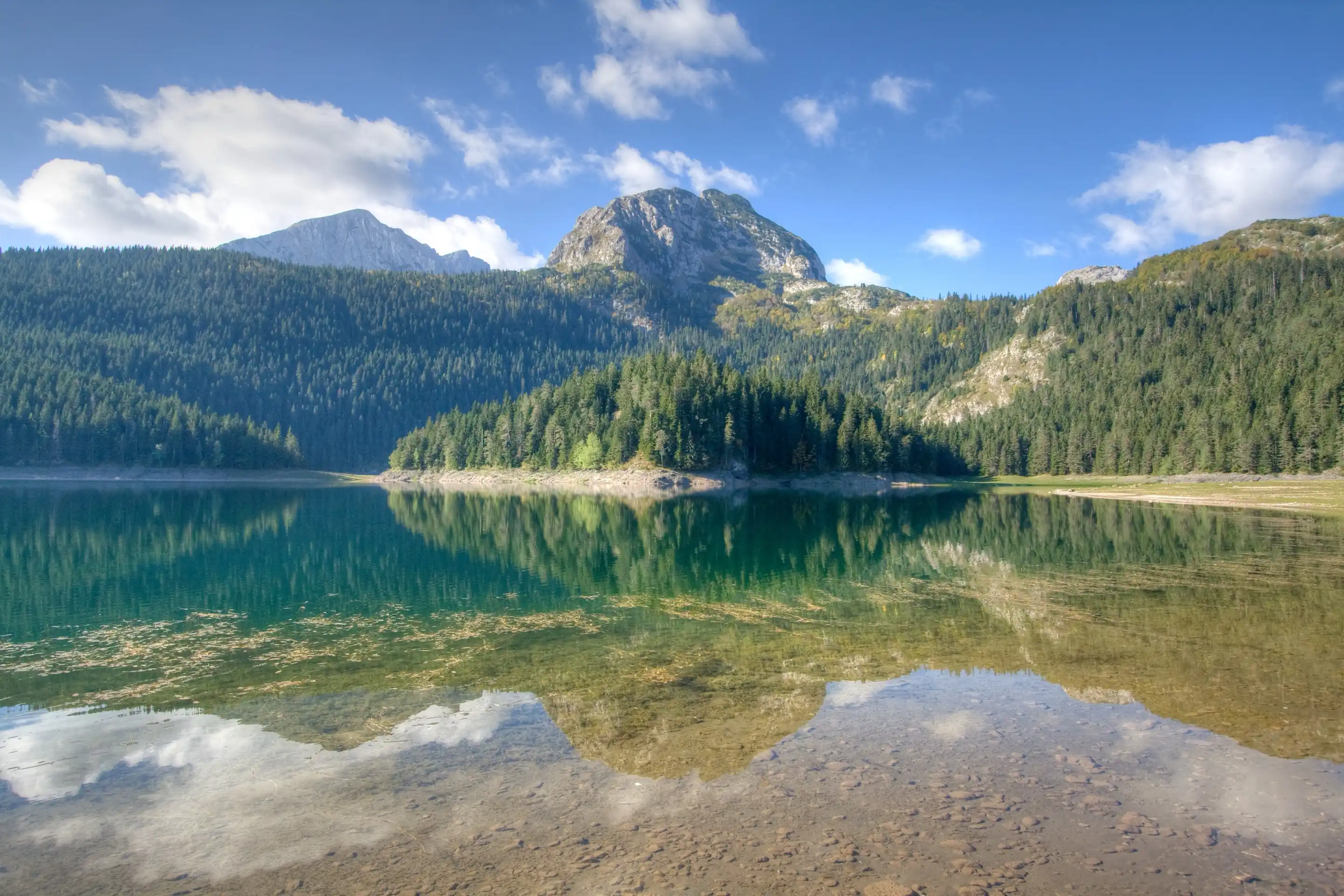 Black Lake with Durmitor’s peaks and spruce forest mirrored in still water.