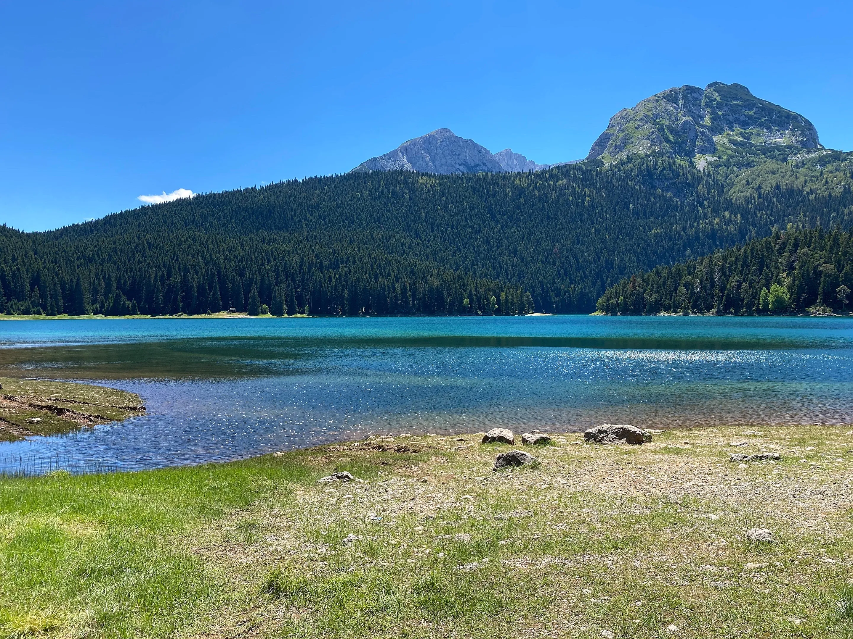 Black Lake from a grassy, stony shore: blue-green water, a slope of dark spruce forest on the far side, and two bare rock peaks above the trees.
