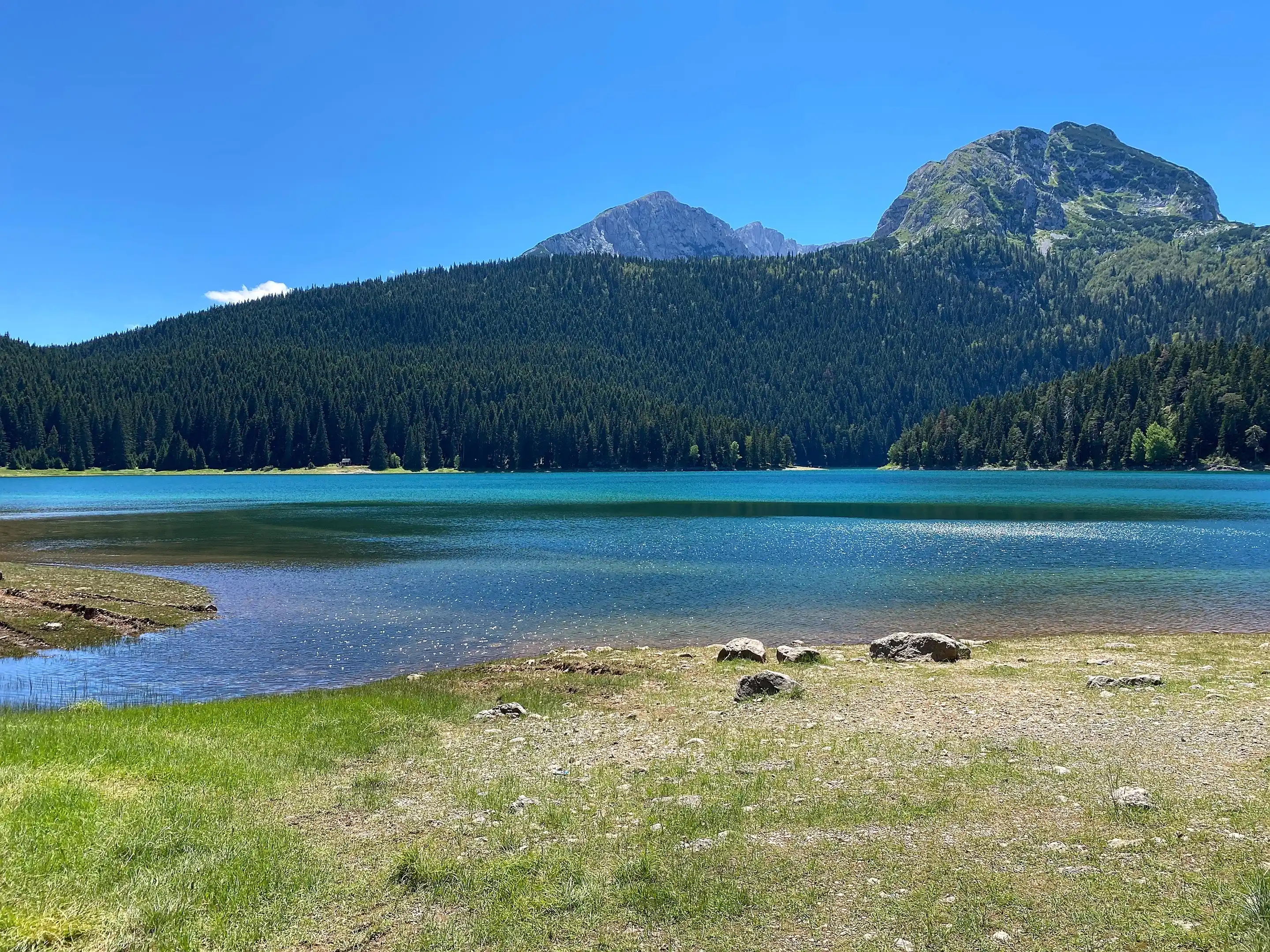 Black Lake from a grassy, stony shore: blue-green water, a slope of dark spruce forest on the far side, and two bare rock peaks above the trees.