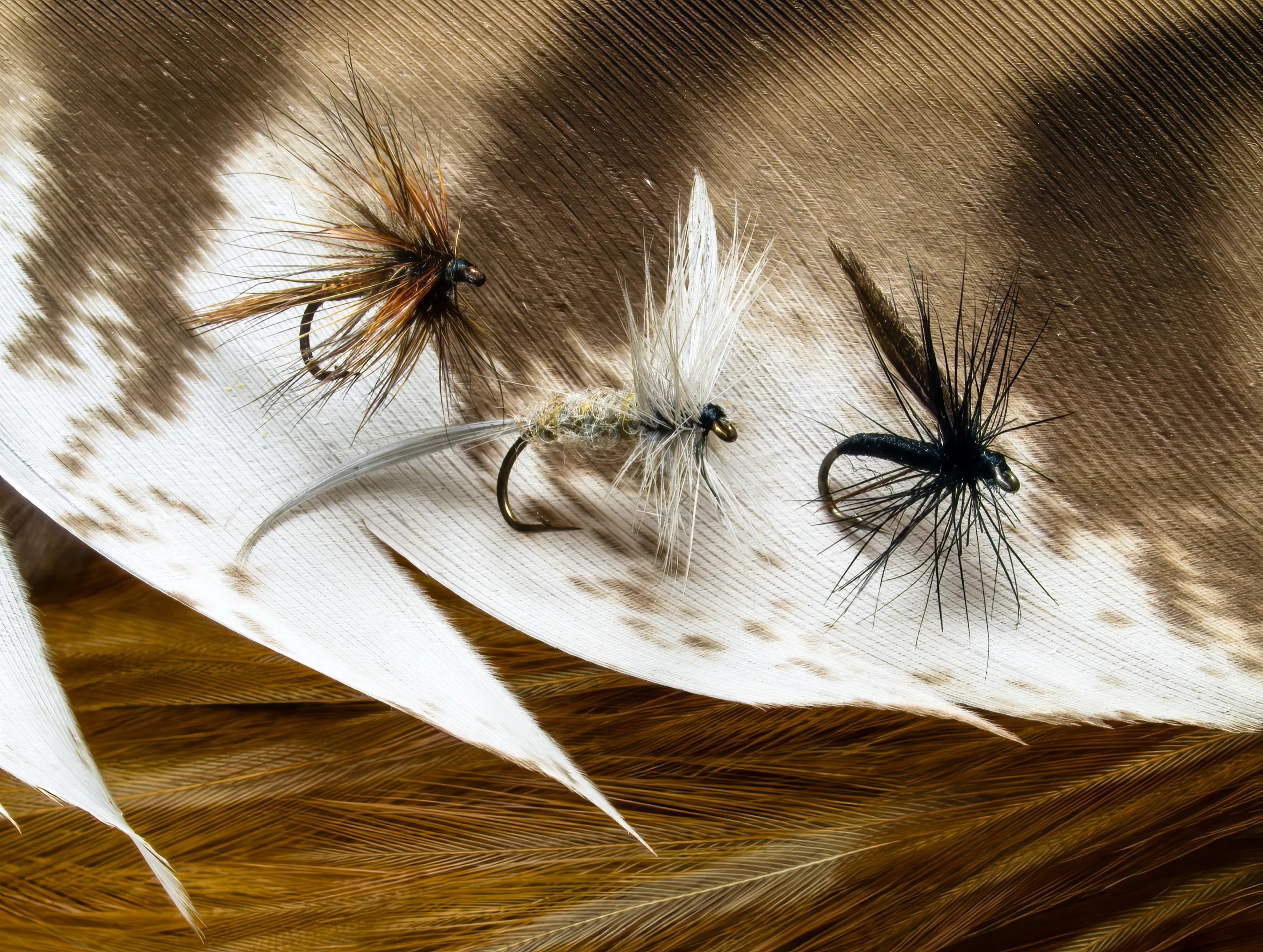 Three dry flies lying on a brown and white feather.