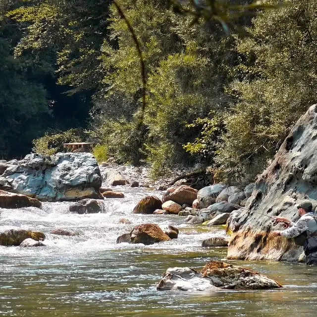 An angler fishing a short line beside a rock face on a sunlit boulder river with wooded banks.