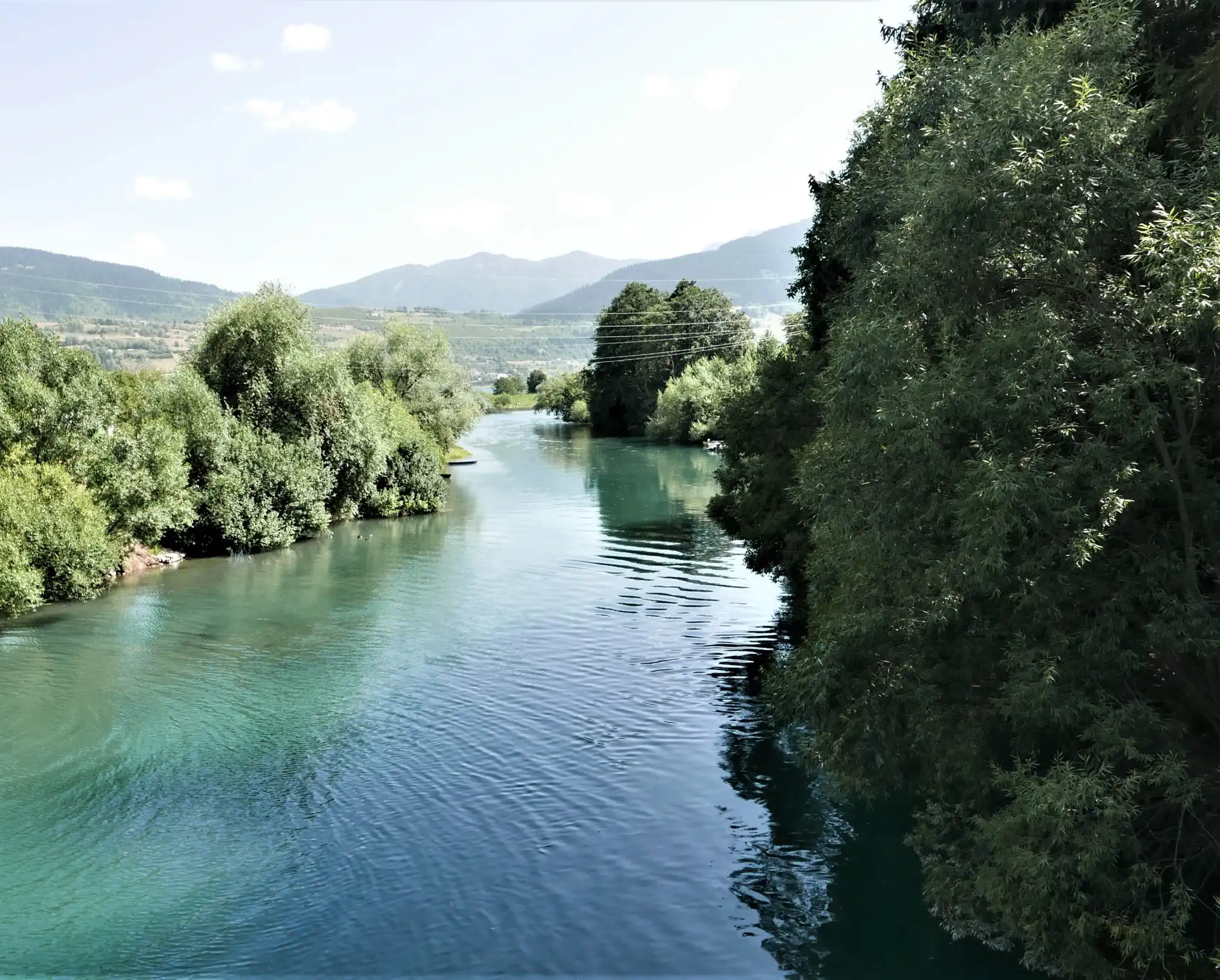 The Lim river leaving Plav Lake at Plav: wide turquoise water between willows, with low mountains behind.