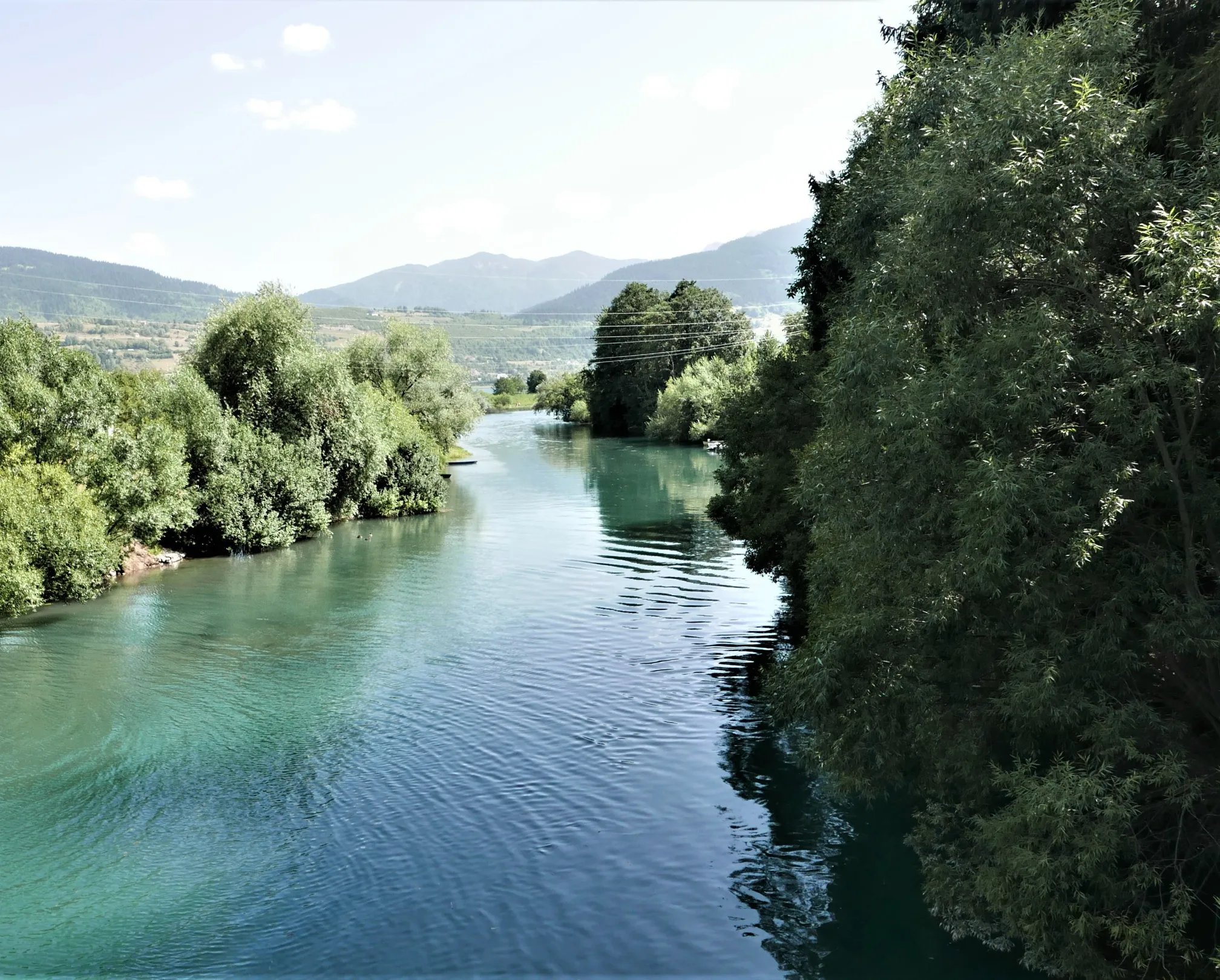 The Lim river leaving Plav Lake at Plav: wide turquoise water between willows, with low mountains behind.
