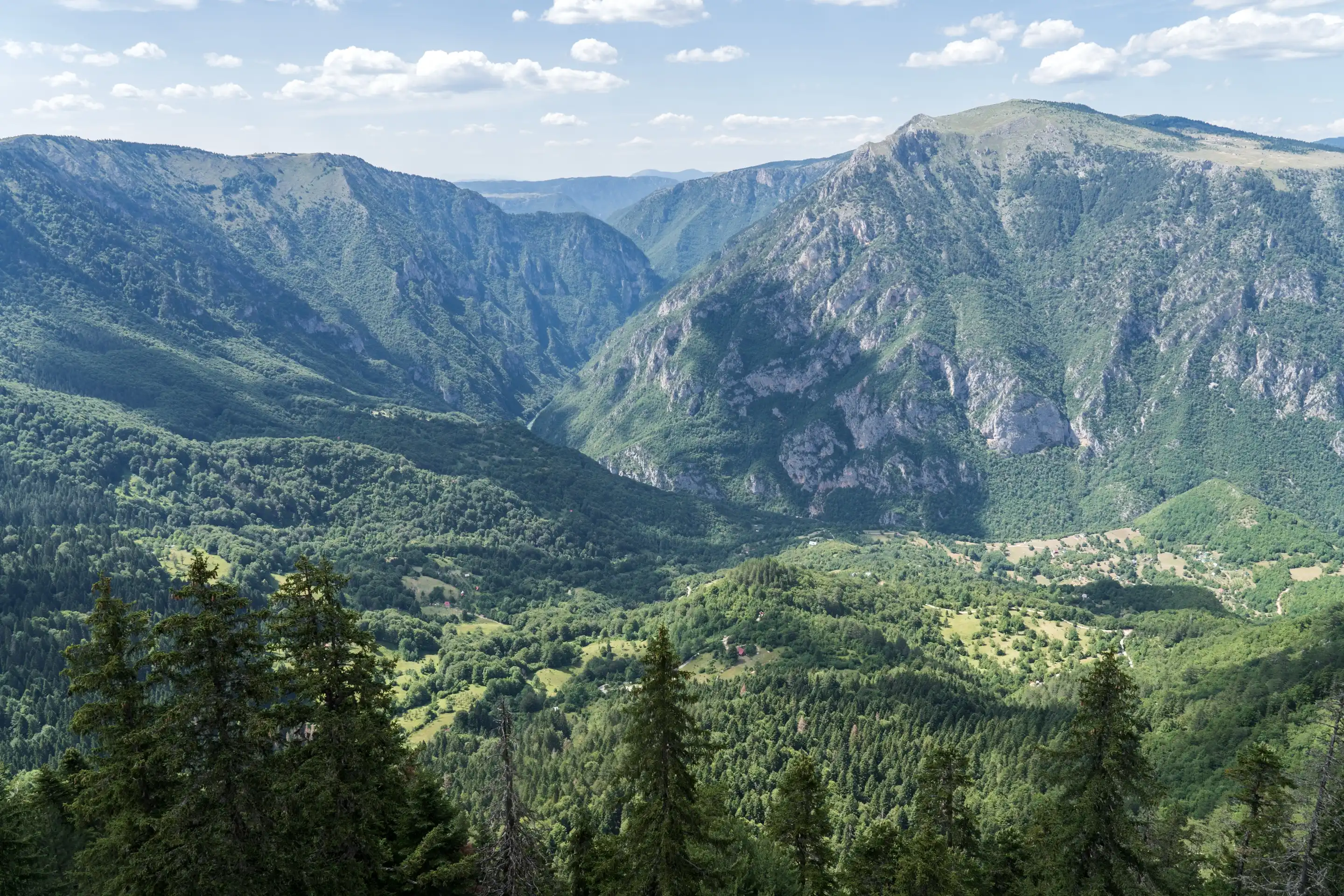 The Tara River Canyon from a viewpoint: limestone walls, forest and a green plateau on the far rim.