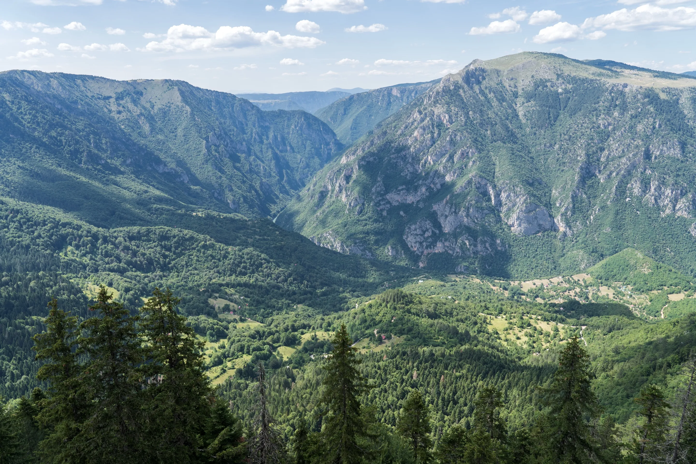 The Tara River Canyon from a viewpoint: limestone walls, forest and a green plateau on the far rim.