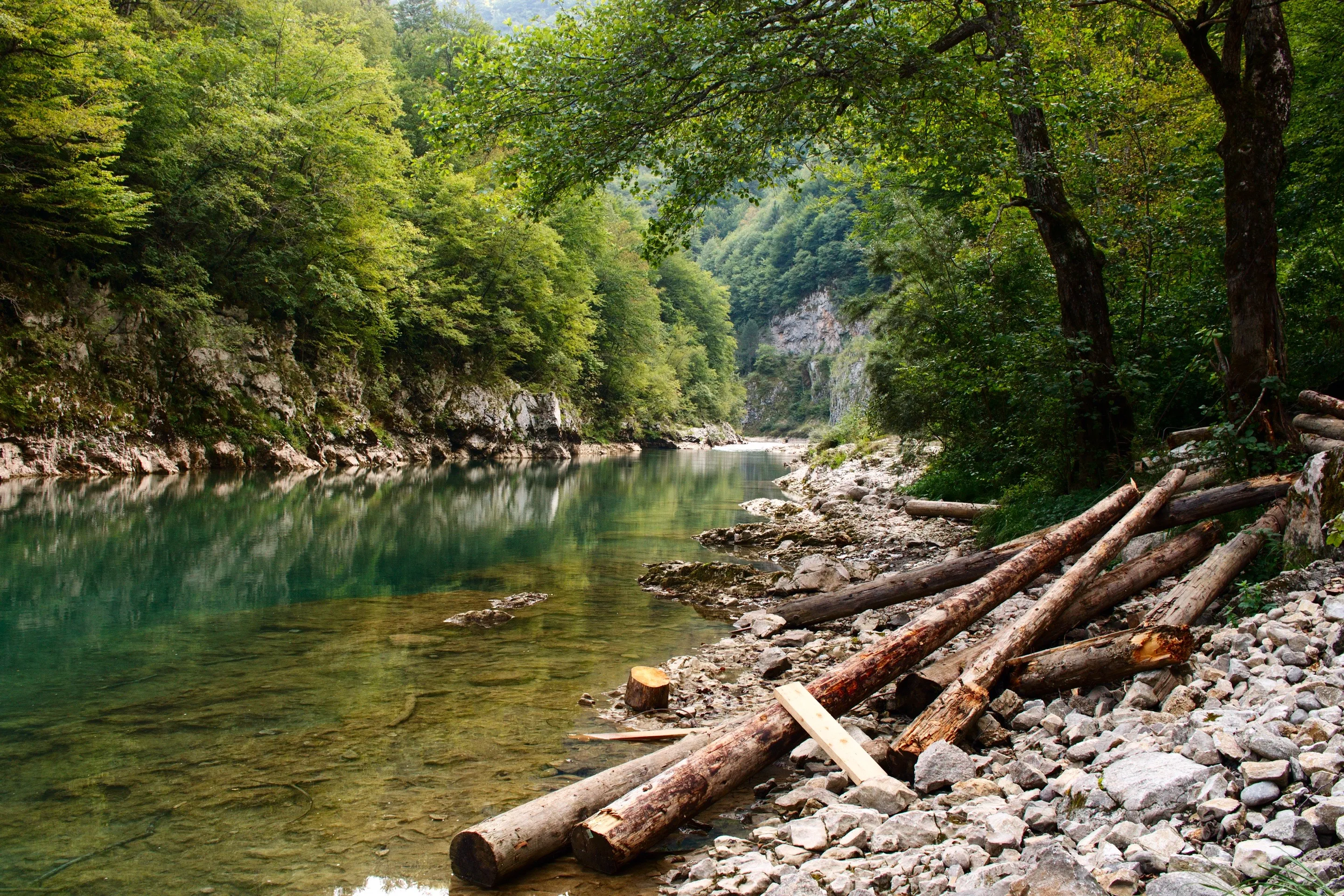 A still green pool on the Tara river in the canyon, with a limestone wall on the far bank and cut logs lying on the gravel.