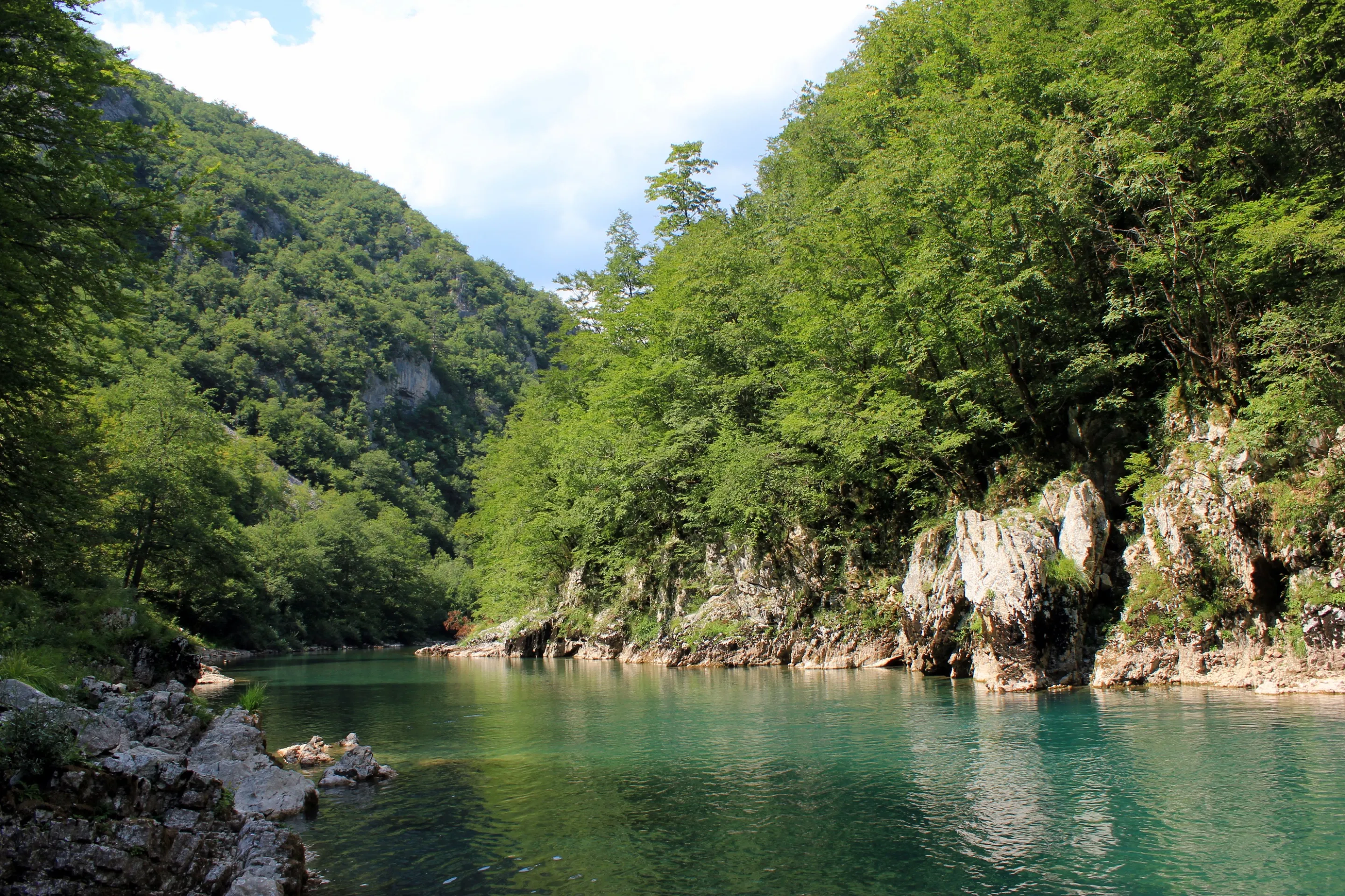 A still green pool on the Tara river in its canyon, under a steep bank of forest and limestone.