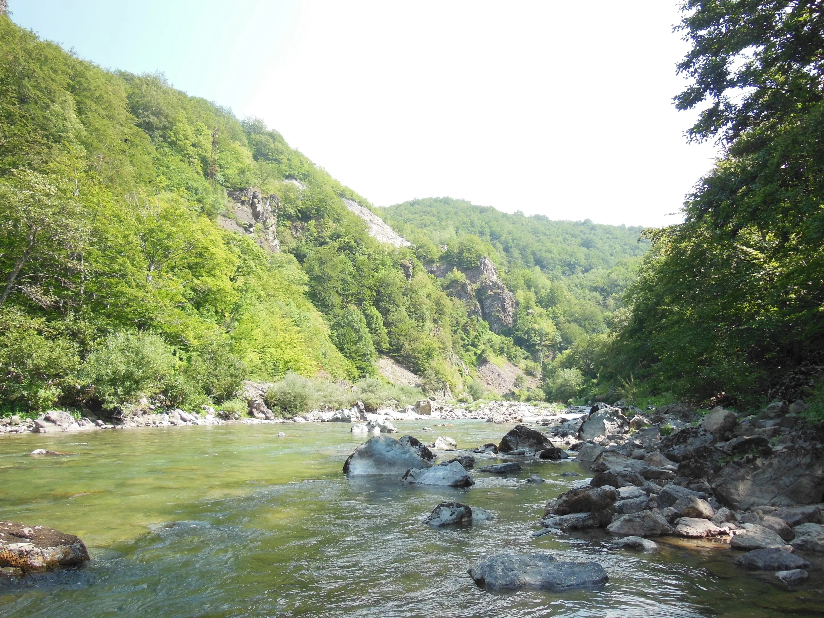 The Tara river between Kolašin and Mojkovac: shallow green water running around grey boulders, a stony bank on the right, and steep forested slopes with bare rock outcrops on both sides.
